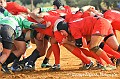 Miraglia Rugby AG vs Nissa (D700)